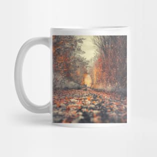 Forest Photography, Forest Pathways, Scandinavian, Nordic, Nature Photography Mug